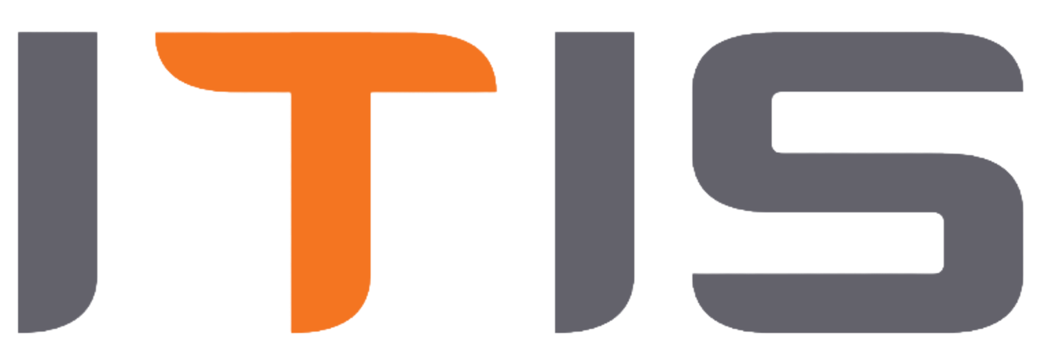 Institut für Technik intelligenter Systeme (Universität der BW)